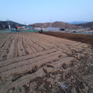 숙이짱님님의 자유주제 · 자유게시판 작성글 사진