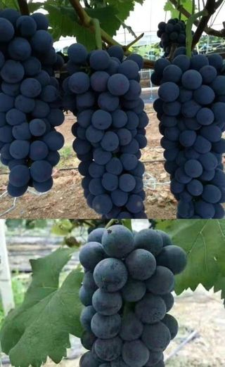 오대원님의 작성글 사진