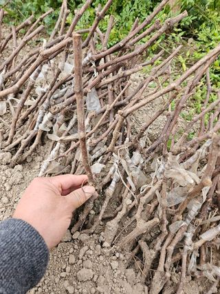 오대원님의 작성글 사진