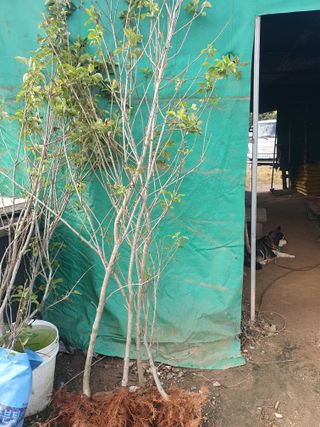 오대원님의 작성글 사진