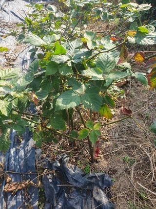 오대원님의 작성글 사진