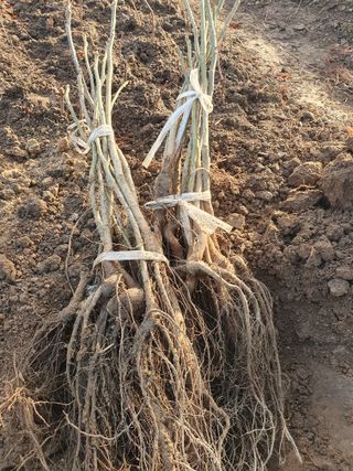 오대원님의 작성글 사진