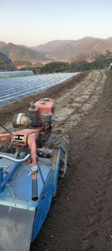 팜모닝 자유주제·자유게시판 게시글 이미지