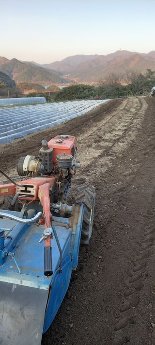 이용호님의 자유주제 · 자유게시판 작성글 사진