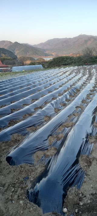 이용호님의 자유주제 · 자유게시판 작성글 사진