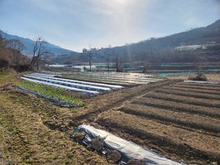 정미경님의 자유주제 · 자유게시판 작성글 사진