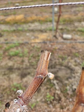 정세화님의 자유주제 · 자유게시판 작성글 사진