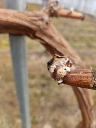 정세화님의 자유주제 · 자유게시판 작성글 사진