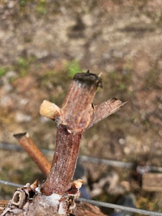 정세화님의 자유주제 · 자유게시판 작성글 사진