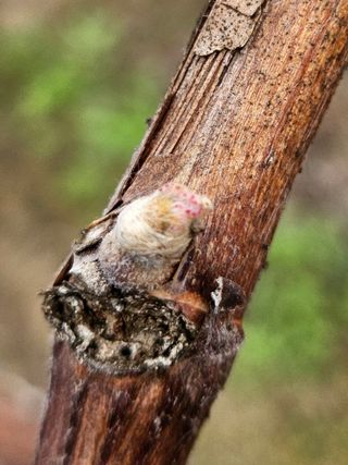 정세화님의 자유주제 · 자유게시판 작성글 사진