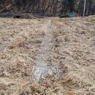 이종권님의 기타작물 · 자유게시판 작성글 사진