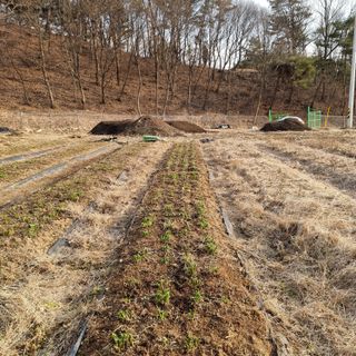 이종권님의 기타작물 · 자유게시판 작성글 사진