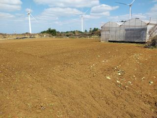 채정식님의 호박 · 영농일지 작성글 사진