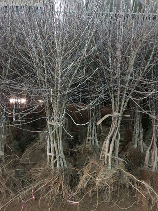 우리농원님의 사과 · 일상 작성글 사진