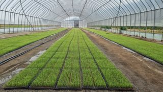 곽행남님의 파 · 자유게시판 작성글 사진