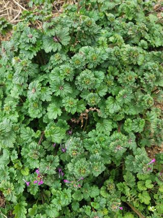 둥근마지기님의 자유주제 · 자유게시판 작성글 사진