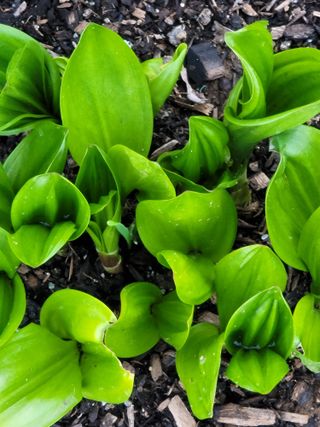 둥근마지기님의 자유주제 · 자유게시판 작성글 사진