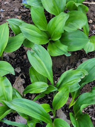 둥근마지기님의 자유주제 · 자유게시판 작성글 사진