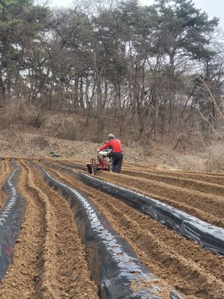 김서린님의 자유주제 · 자유게시판 작성글 사진
