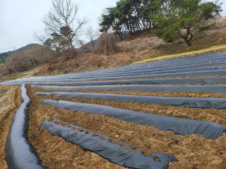 김서린님의 자유주제 · 자유게시판 작성글 사진