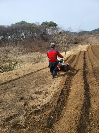 김서린님의 자유주제 · 자유게시판 작성글 사진