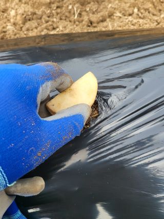 김서린님의 자유주제 · 자유게시판 작성글 사진