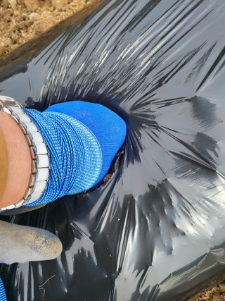 김서린님의 자유주제 · 자유게시판 작성글 사진