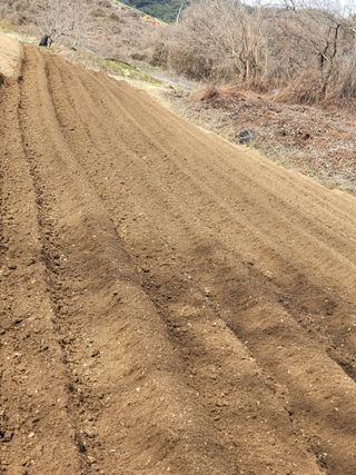 김서린님의 자유주제 · 자유게시판 작성글 사진