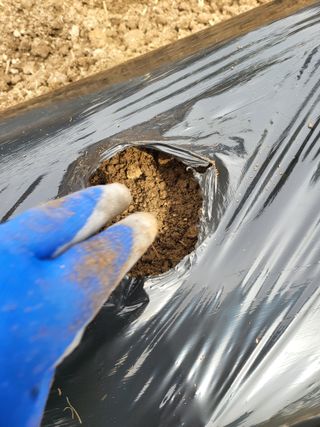 김서린님의 자유주제 · 자유게시판 작성글 사진