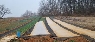 박찬호님의 3월 내 작물 자랑하기 · 참여글 작성글 사진