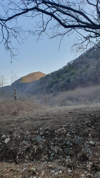 강병도님의 자유주제 · 자유게시판 작성글 사진