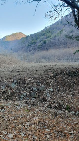 강병도님의 자유주제 · 자유게시판 작성글 사진