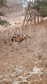 팜모닝 자유주제·자유게시판 게시글 이미지