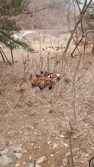 강병도님의 자유주제 · 자유게시판 작성글 사진