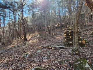 배추12035.부남님의 자유주제 · 자유게시판 작성글 사진