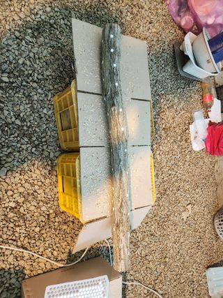 배추12035.부남님의 자유주제 · 자유게시판 작성글 사진