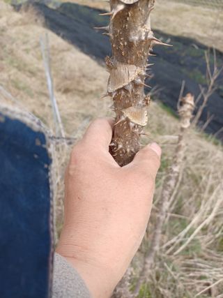 무료지식나눔 팜닥터님의 3월 내 작물 자랑하기 · 참여글 작성글 사진