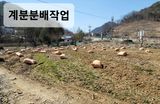 팜모닝 옥수수·영농일지 게시글 이미지
