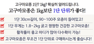 김동수님의 고구마 · 자유게시판 작성글 사진