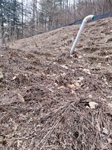 팜모닝 자유주제·자유게시판 게시글 이미지