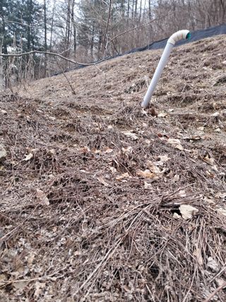 고추들깨이종우님의 자유주제 · 자유게시판 작성글 사진