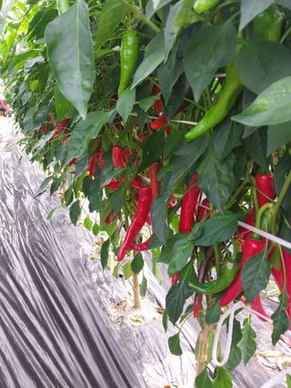 김창순님의 작성글 사진