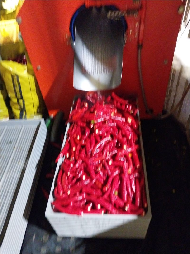 김창순님의 장터 판매 상품 [고춧가루 한근(500g) 판매 종료] 첨부 사진