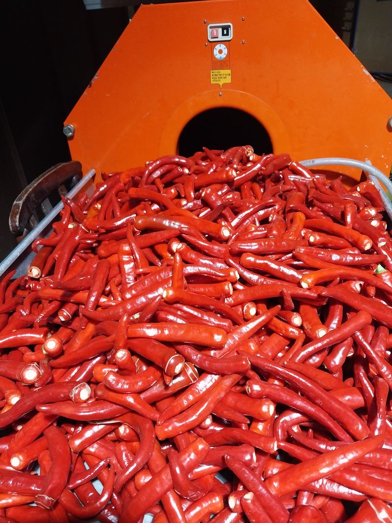 김창순님의 장터 판매 상품 [고춧가루 한근(500g) 판매 종료] 첨부 사진