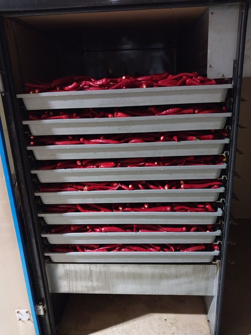 김창순님의 장터 판매 상품 [고춧가루 한근(500g) 판매 종료] 첨부 사진