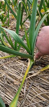 팜모닝 자유주제·자유게시판 게시글 이미지