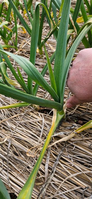 김둘점님의 자유주제 · 자유게시판 작성글 사진