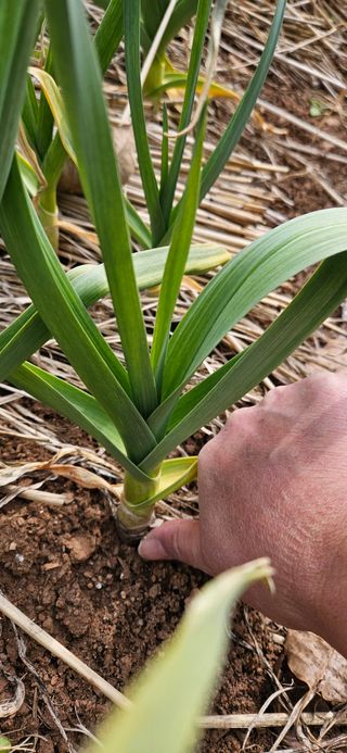 김둘점님의 자유주제 · 자유게시판 작성글 사진