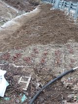 팜모닝 3월 내 작물 자랑하기·참여글 게시글 이미지