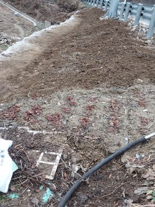 최병화 님의 3월 내 작물 자랑하기 · 참여글 작성글 사진